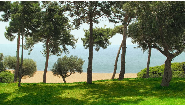 Trikorfo Beach Hotel - NR, Халкидики